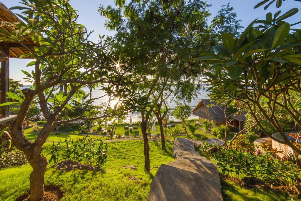 Aquamarine Beach Villas Амед Екстер'єр фото
